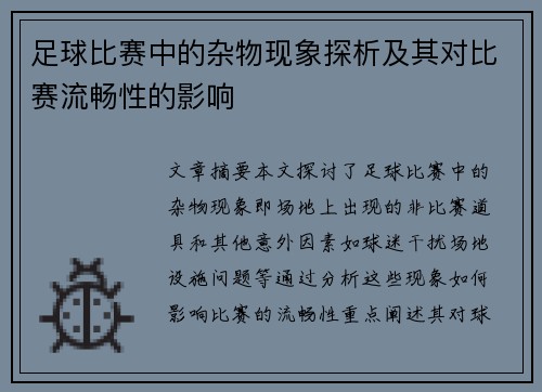 足球比赛中的杂物现象探析及其对比赛流畅性的影响