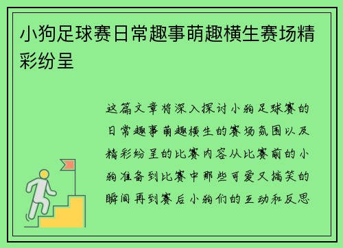 小狗足球赛日常趣事萌趣横生赛场精彩纷呈