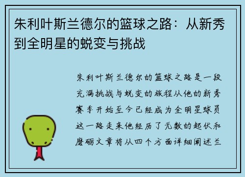 朱利叶斯兰德尔的篮球之路：从新秀到全明星的蜕变与挑战